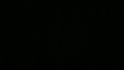 bigdickfitdude34 online show from September 14, 12:54 am