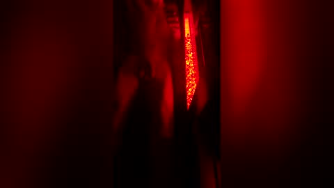 bigdickpapishampoo online show from December 23, 8:12 am