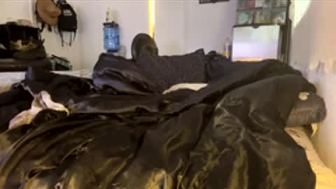 bigdickpapishampoo online show from February 4, 6:47 pm