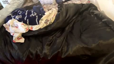 bigdickpapishampoo online show from February 7, 6:44 pm