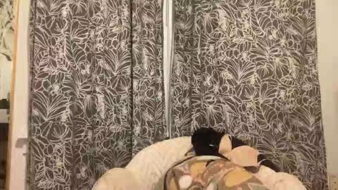 bigdickwalkin online show from February 15, 2:41 am