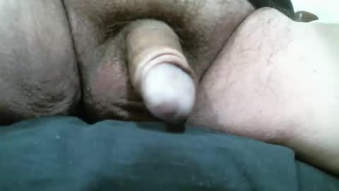 Snapshot of bigdoglog chatting on March 26, 8:14 pm BigDog online show from March 26, 8:14 pm