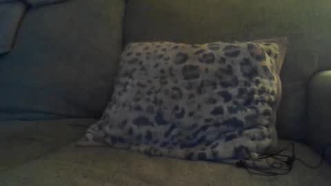 Snapshot of bigdt444420 chatting on November 17, 5:13 am bigdt444420 online show from November 17, 5:13 am