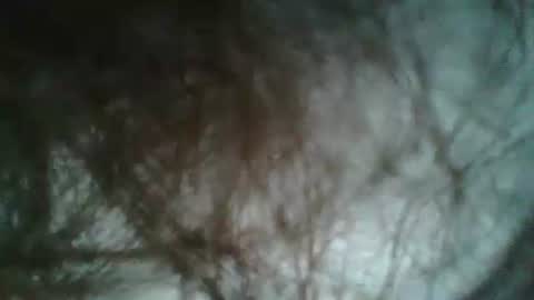 daddy online show from January 5, 4:48 pm
