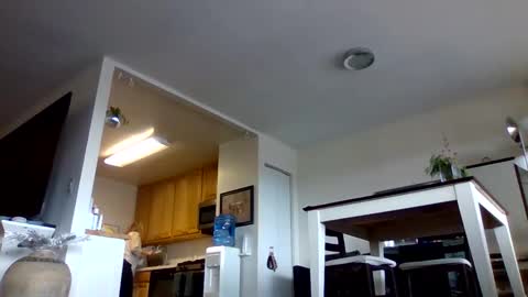 Snapshot of bigjoed233 chatting on January 10, 3:47 pm bigjoed233 online show from January 10, 3:47 pm