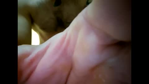 Snapshot of bigjoeyblow chatting on November 1, 6:37 am bigjoeyblow online show from November 1, 6:37 am