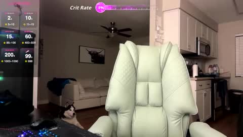 Nick Barker online show from February 3, 2:53 am