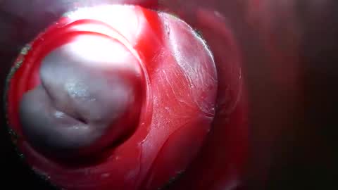 bigmoneycorey online show from March 10, 3:50 pm