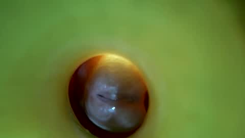 bigmoneycorey online show from March 16, 6:56 pm