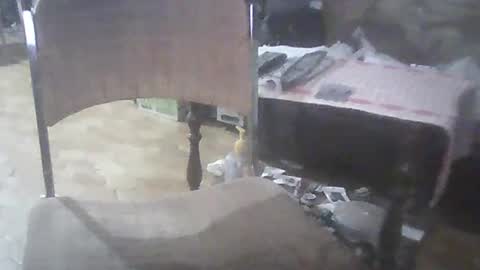 bigpenix online show from March 2, 3:56 am