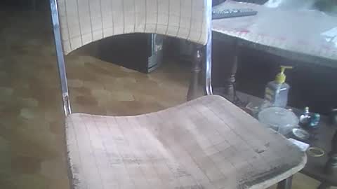 bigpenix online show from December 21, 3:41 pm