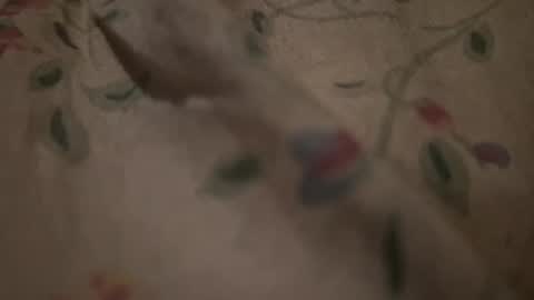 Snapshot of bigpoppadutch666 chatting on January 16, 12:53 pm bigpoppadutch666 online show from January 16, 12:53 pm