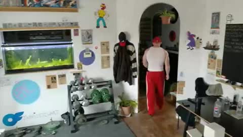 Jarvis online show from November 28, 4:31 pm