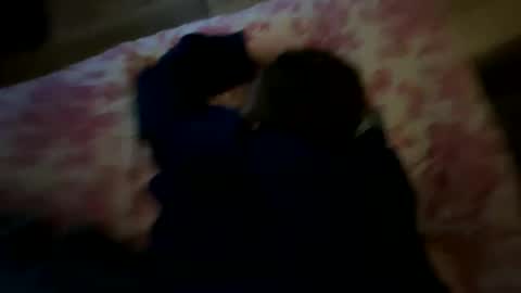 bigwhitecollegebull online show from November 19, 2:11 am