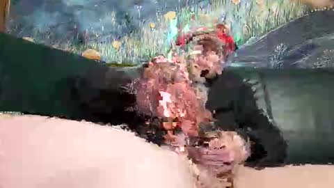 bigwytecock1979 online show from April 19, 6:32 pm