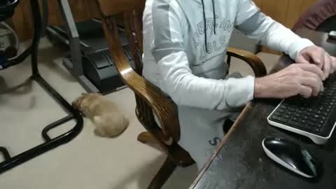 Snapshot of billy471 chatting on January 23, 10:11 pm billy471 online show from January 23, 10:11 pm