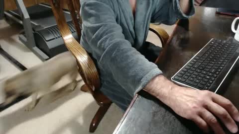 Snapshot of billy471 chatting on February 23, 10:28 am billy471 online show from February 23, 10:28 am