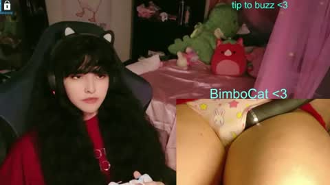BimboCat online show from June 12, 1:26 am