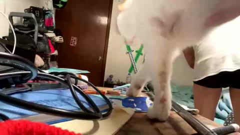 Manu O online show from November 9, 8:07 pm