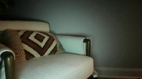 bisfurbear online show from February 27, 8:36 am