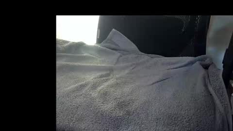 Snapshot of bislider chatting on November 12, 9:10 am bislider online show from November 12, 9:10 am