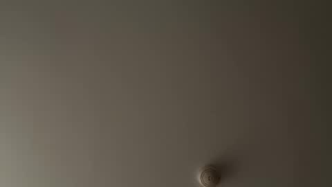 Snapshot of bithereum_sky chatting on November 12, 8:08 pm bithereum_sky online show from November 12, 8:08 pm