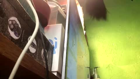 Crystal online show from November 13, 2:49 pm