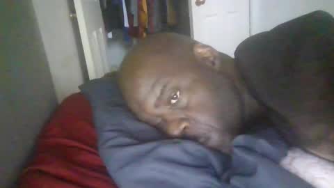 Snapshot of blackteddybear chatting on January 19, 3:05 pm blackteddybear online show from January 19, 3:05 pm