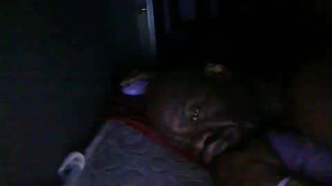 Snapshot of blackteddybear chatting on February 18, 3:24 am blackteddybear online show from February 18, 3:24 am