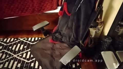 Blackjag00 online show from March 3, 9:22 am