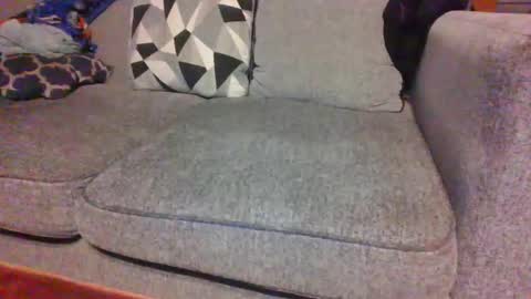 blaw_1321 online show from November 5, 8:47 am