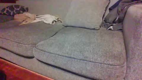 blaw_1321 online show from April 15, 7:37 am