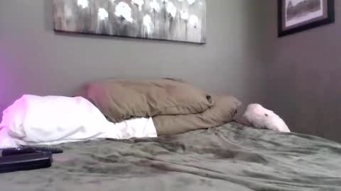 blazeentertainment2025 online show from February 21, 6:09 pm