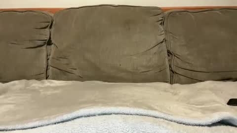 blondiedicks1 online show from September 16, 1:12 pm