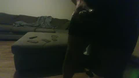 blongd2 online show from January 19, 12:36 am