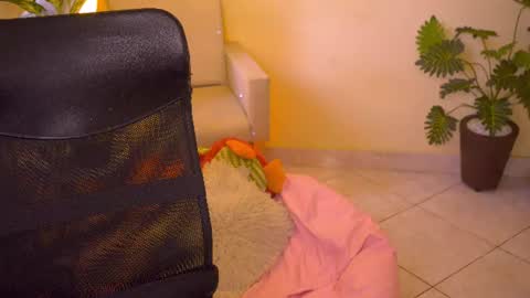 FLORAA online show from June 13, 3:54 pm