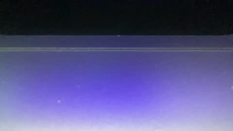 bluuuuuuub online show from December 29, 11:08 pm