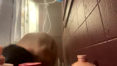 LovelyJolene online show from November 1, 9:44 am