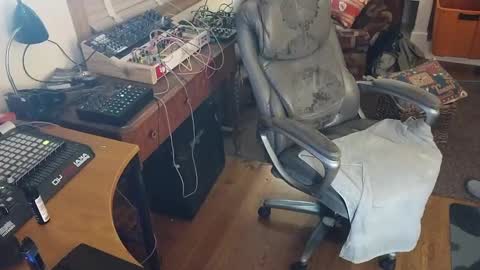 harry cockins online show from September 20, 7:31 am
