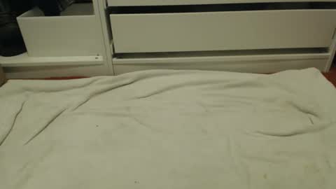 Snapshot of bobbuild chatting on January 31, 8:40 pm bobbuild online show from January 31, 8:40 pm