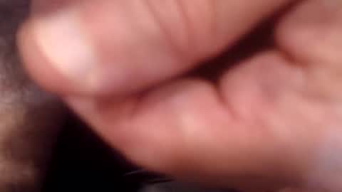 bobswan online show from September 9, 9:58 pm