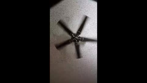 boca34345 online show from March 2, 7:15 am