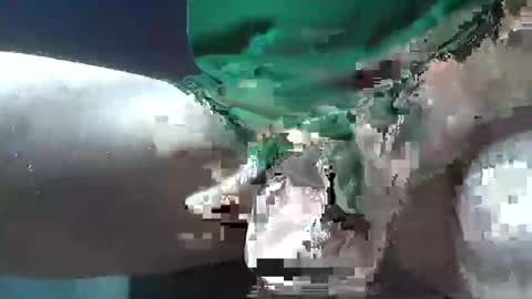 bogey58 online show from December 8, 2:09 pm