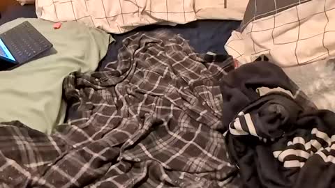 boiwithpussy online show from February 16, 1:36 am