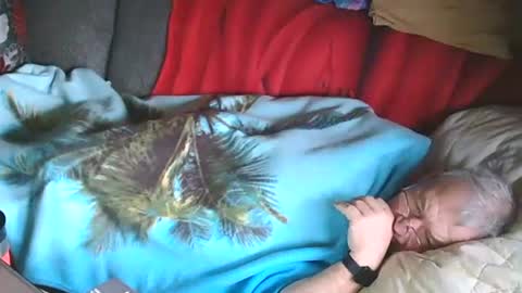 Bomber59potsdam online show from January 28, 10:02 am