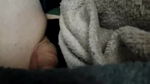 Snapshot of bomberto33 chatting on February 12, 10:48 pm Bomberto online show from February 12, 10:48 pm