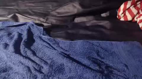 Snapshot of bomm65 chatting on November 19, 3:12 pm Bomm65 online show from November 19, 3:12 pm