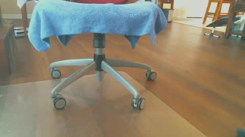 FRECKLES online show from December 15, 1:37 pm