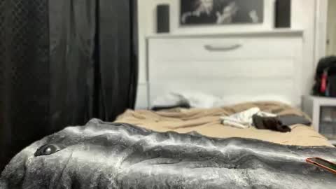 boner4you1994 online show from April 19, 4:23 am