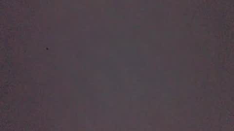 bonershow online show from November 21, 2:27 pm